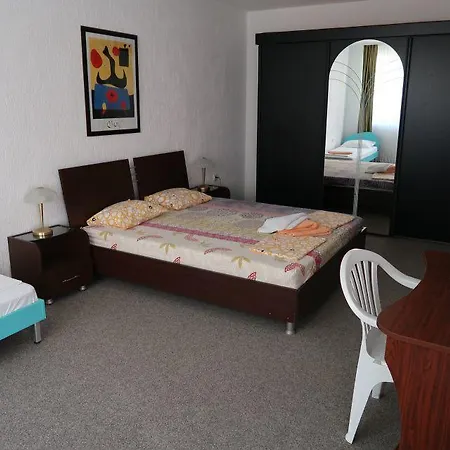 Vitosha Guest house *